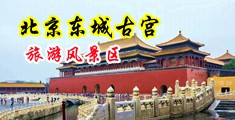 日女人小穴视频中国北京-东城古宫旅游风景区