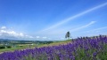 污视频逼日骚日本一地6日游  境外旅游 6880元/人
